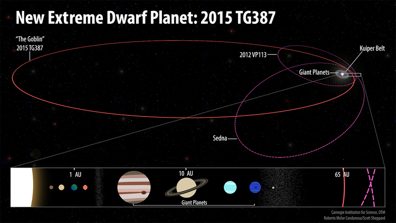 Diagram showing the orbital path of Goblin relative to other Solar System objects. The new dwarf planet joins Sedna and 2012 VP113 as the only three known Inner Oort Cloud objects.